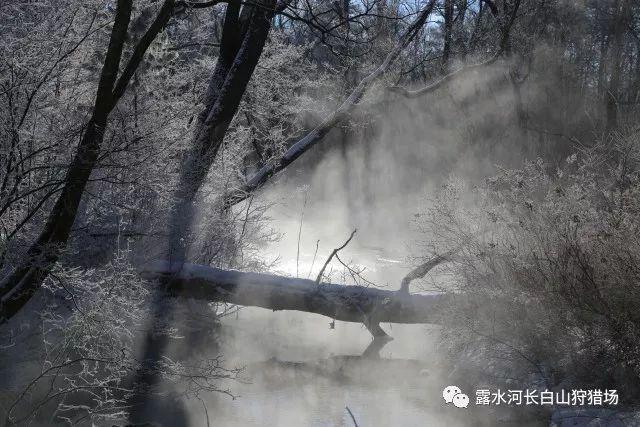 宜宾到西藏林芝该怎么坐车?-梦想引领未来探索知识星球平台